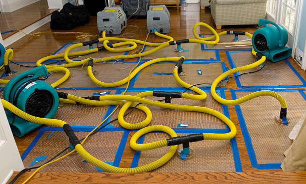 Professional Basement Flood Cleanup technician working in Big Cabin, OK